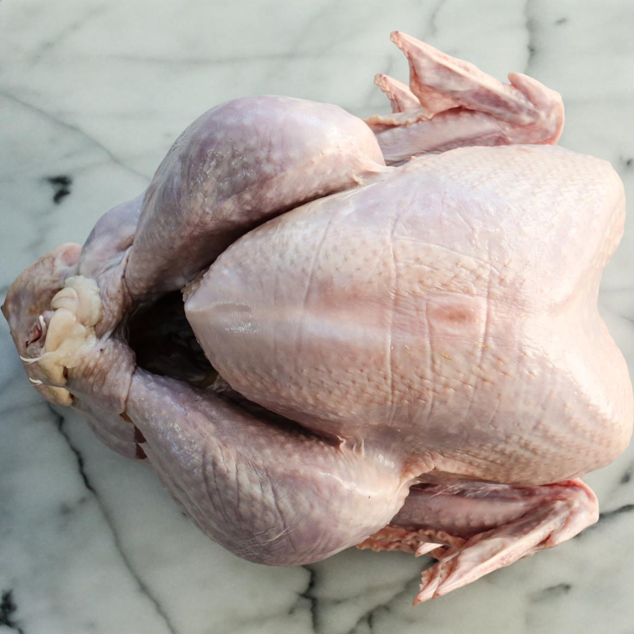 20lb Turkey Delivered on Tuesday December 23rd
